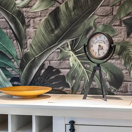 Silberborth דירה סייסן